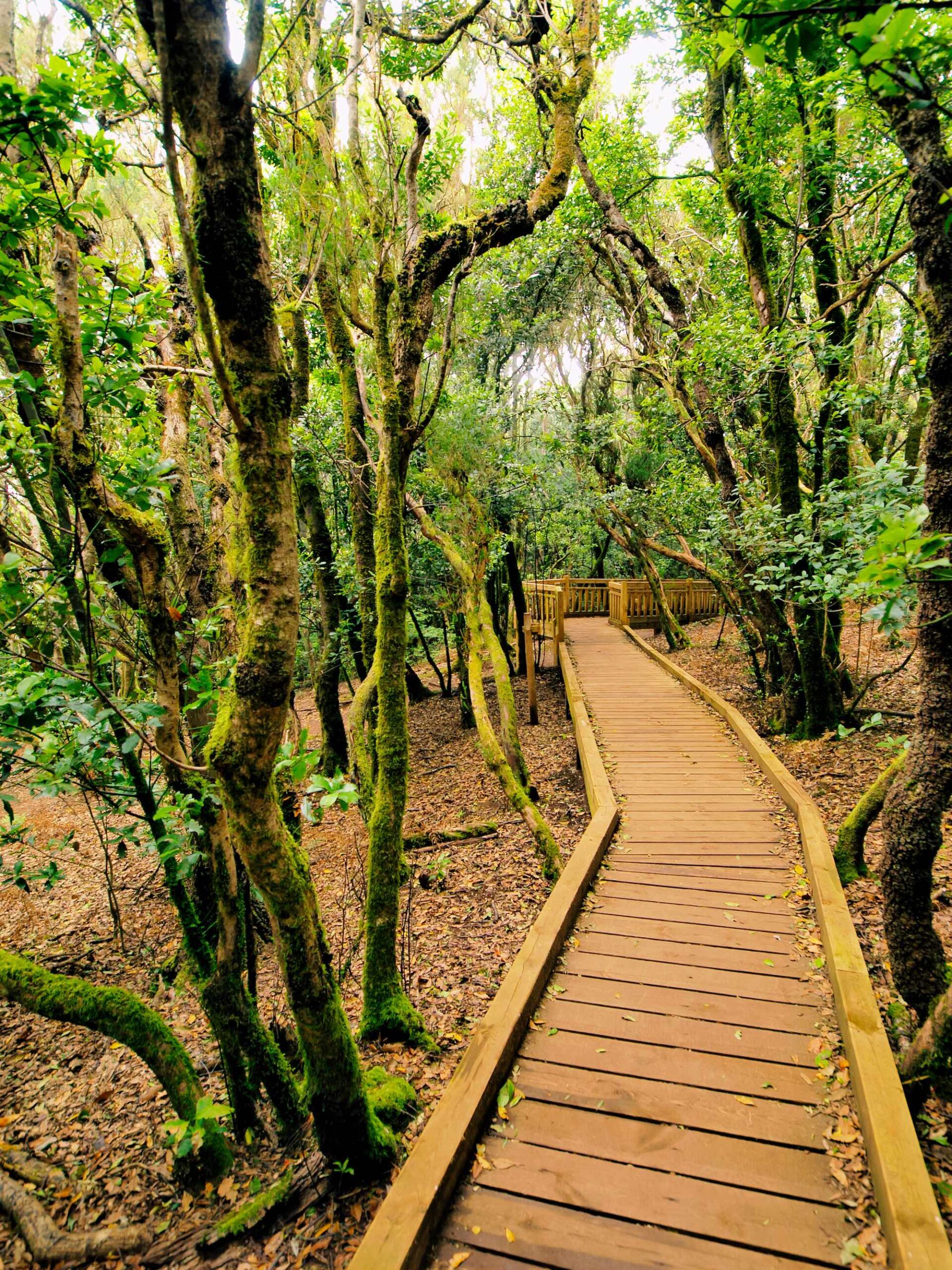 Anaga Gebirge Teneriffa Antalya Lara Urlaub Copyright © AdobeStock 56003521 Nikolai Sorokin