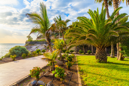 Adeje - Teneriffa Side Altstadt Hafen Copyright © AdobeStock 179492870 Sergii Figurnyi