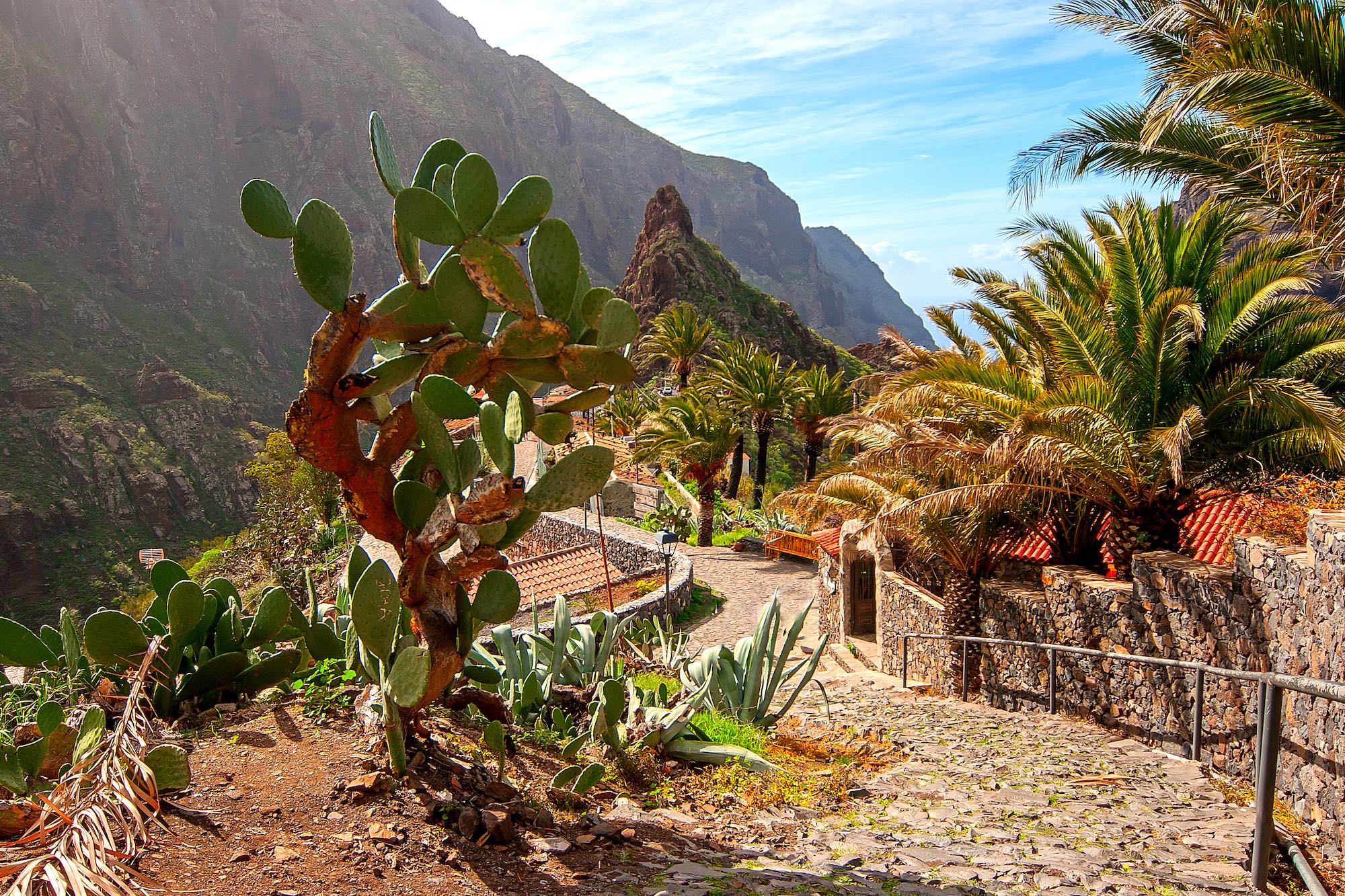 Masca, Teneriffa Loro Park bei Puerto de la Cruz - Teneriffa Copyright © AdobeStock 77219201 XS alexkon2000