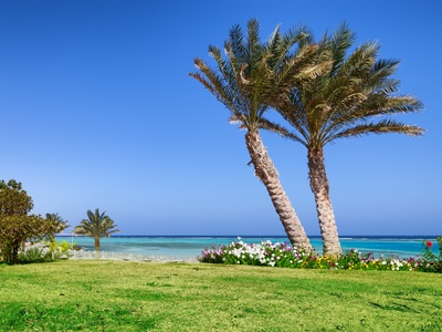 Marsa Alam Ägypten Copyright © AdobeStock 62246085 XS Federico Rostagno