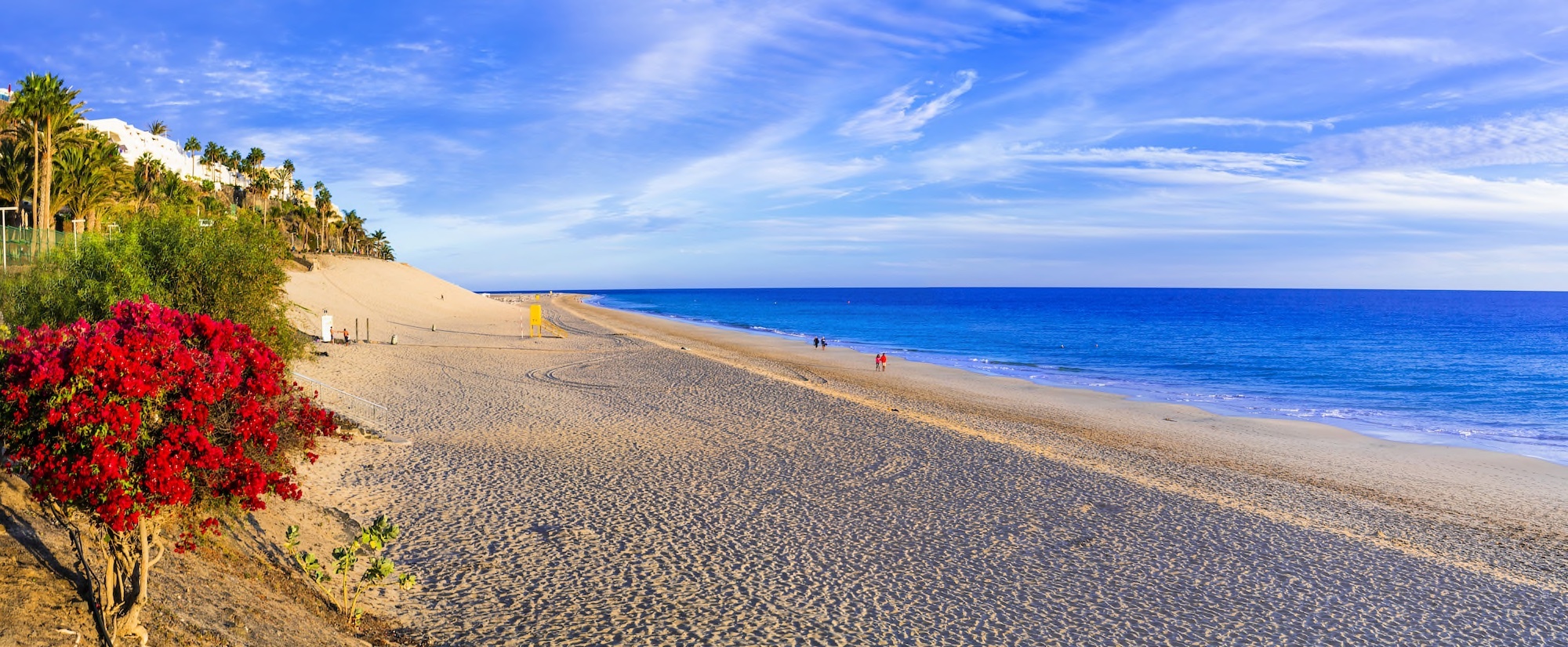 Fuerteventura Copyright © AdobeStock 250264892 Freesurf