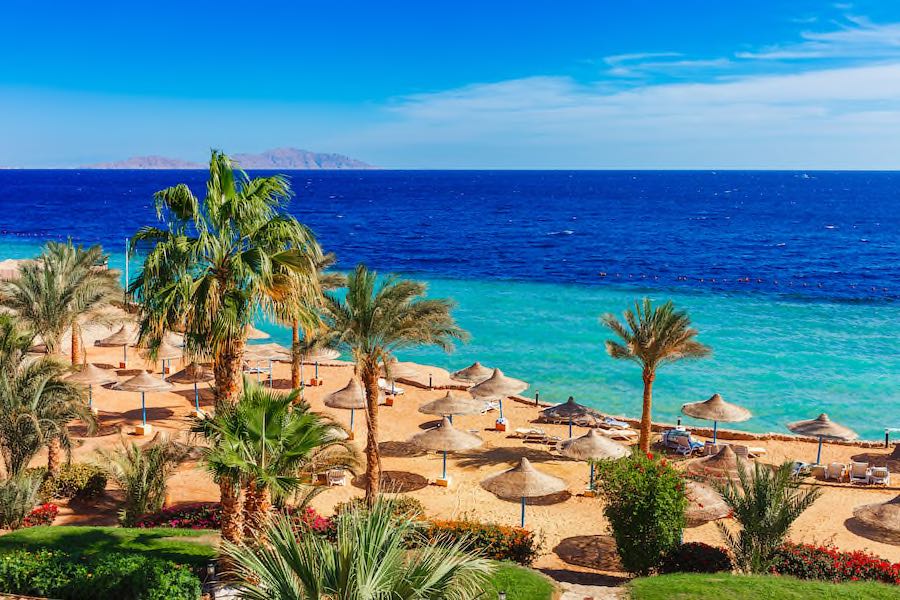 Aegypten Sharm el Sheikh Copyright © AdobeStock 210079817 oleg p 100