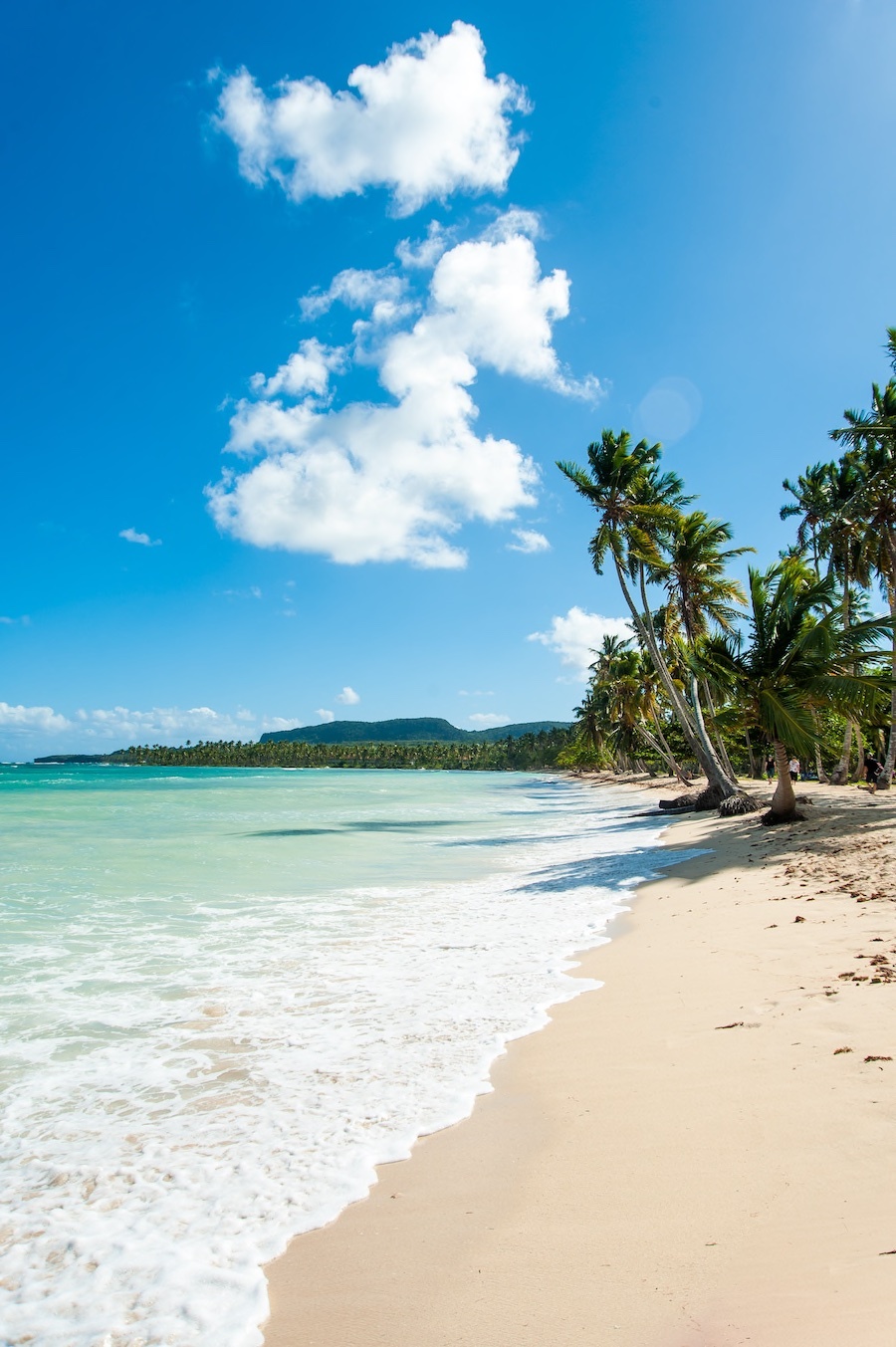 Dominikanische Republik Samana Urlaub Copyright © AdobeStock 193621275 Judd Irish Bradley