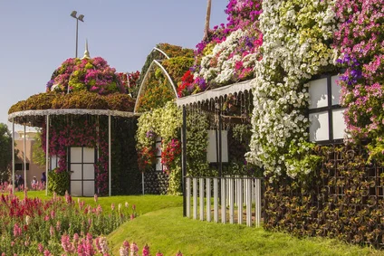 Dubai "Miracle Garden" - Copyright © AdobeStock 79050219 XS alfaori