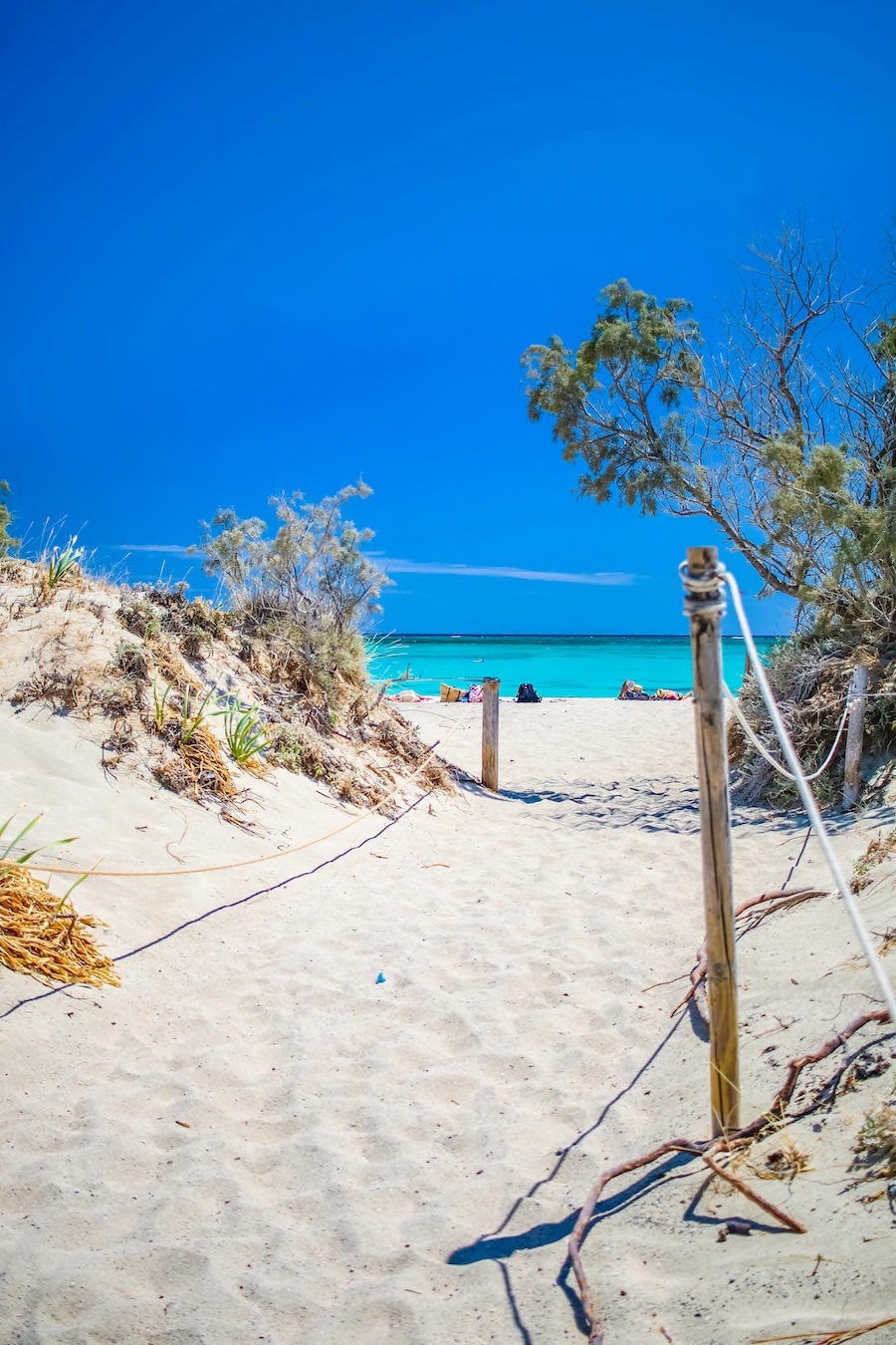 Kreta Elafonisi Pink Beach in Chania Copyright © AdobeStock 417273689 AllinCrete