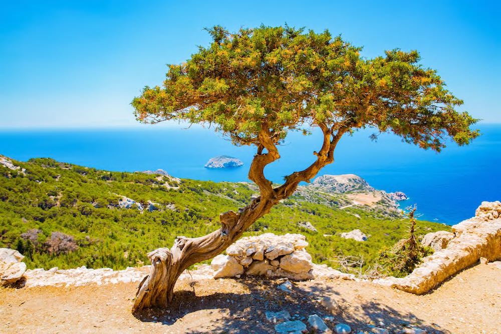 Rhodos Copyright © AdobeStock 208793643 traveller70