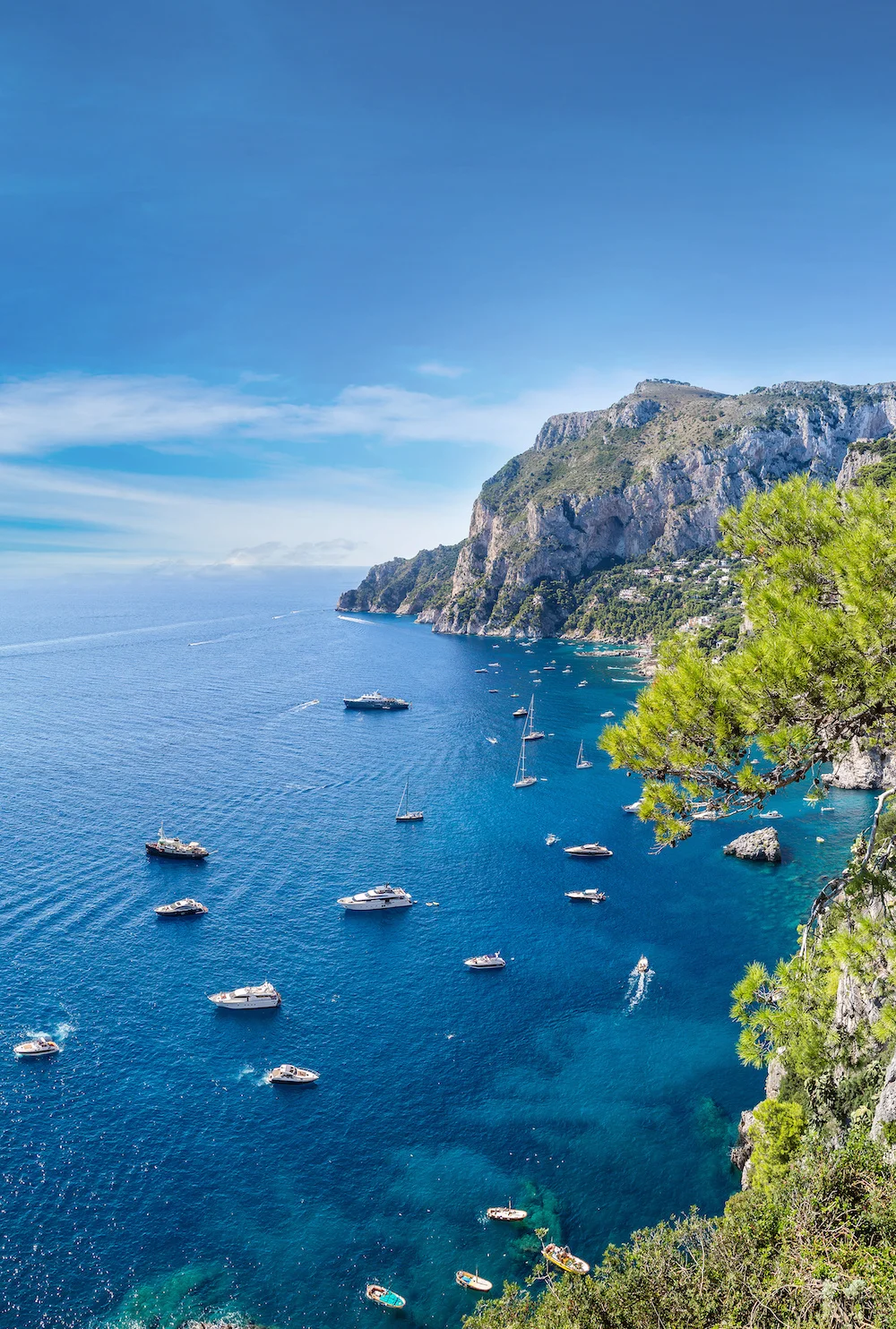 Insel Capri ( Italien ) - Copyright © AdobeStock 123490129 Sergii Figurnyi