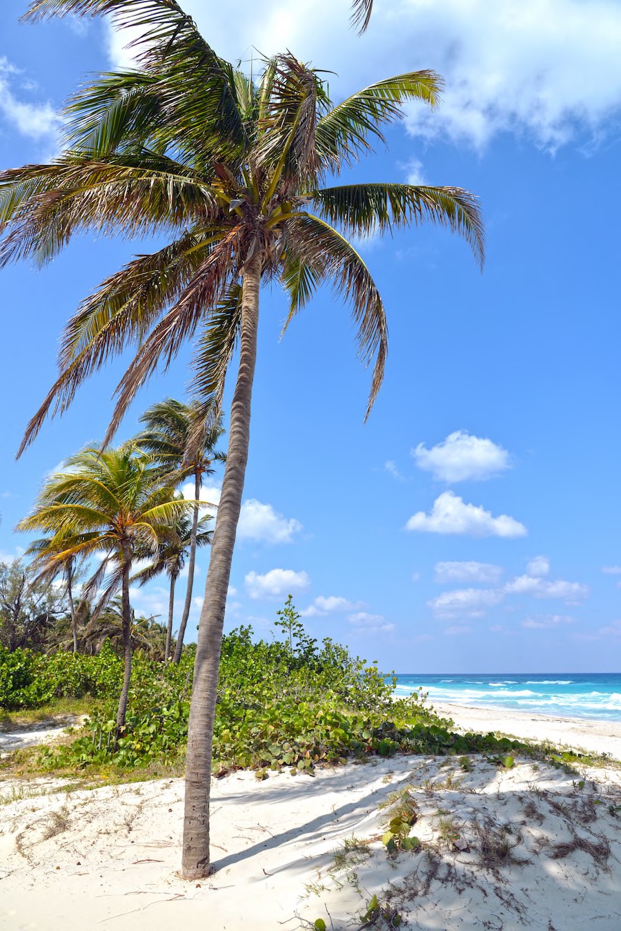 Belek Urlaubsreisen Copyright © AdobeStock 428632908 Fokke