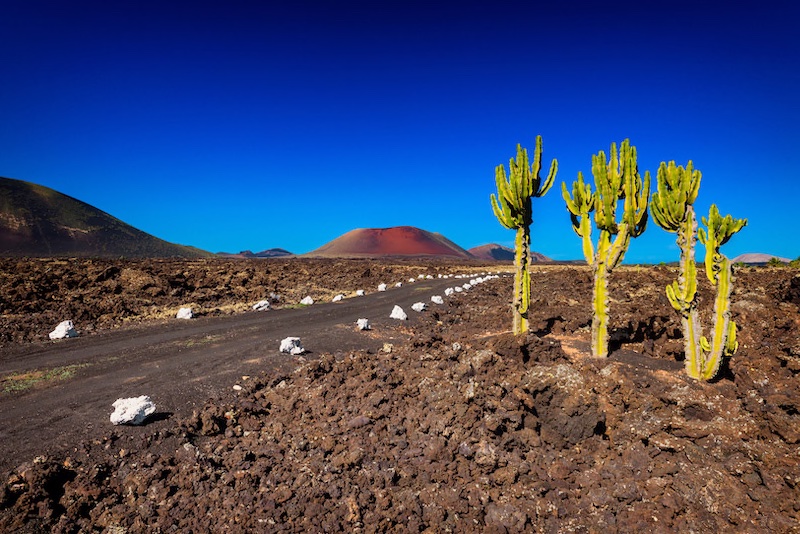 Nationalpark Timanfaya Copyright © AdobeStock 117900976 allard1