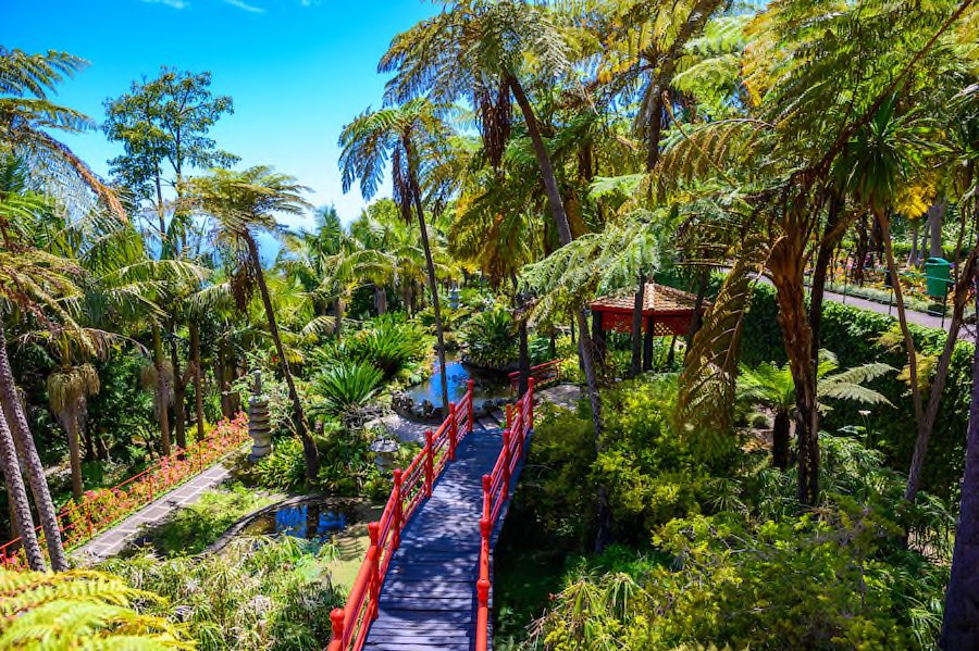 Monte Tropical Garden und Palace auf Madeira in Portugal Copyright © AdobeStock 419865341 Simon Dannhauer