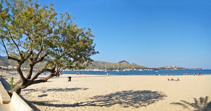 Strand Puerto Pollenca Fotograf: aldorado - Fotolia.com