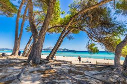 Alcudia Fotograf: lunamarina - Fotolia.com