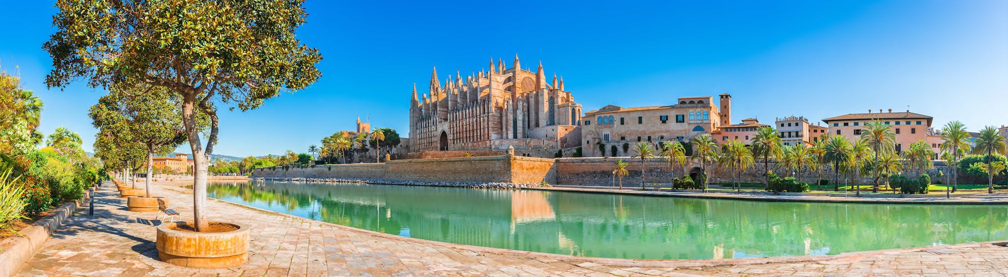 Palma Copyright © AdobeStock 222602817 vulcanus