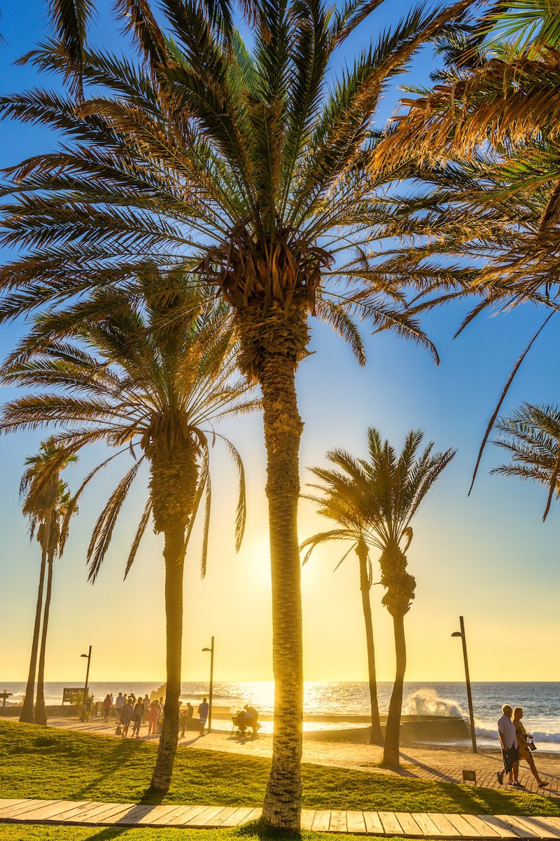 Playa de las Americas Teneriffa Copyright © AdobeStock 246312828 marmesis