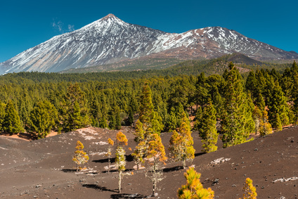 Teide Copyright © AdobeStock 114898301 XS Kotangens