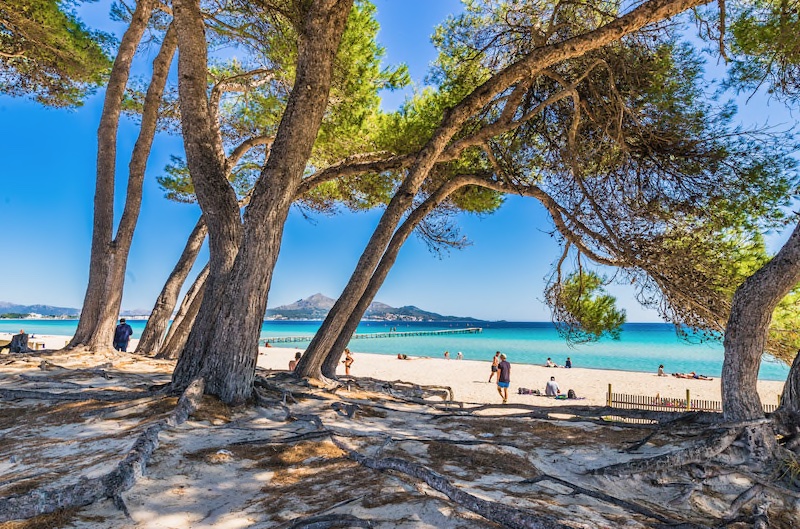 Playa de Muro Copyright © Fotolia_107312730_M_vulcanus